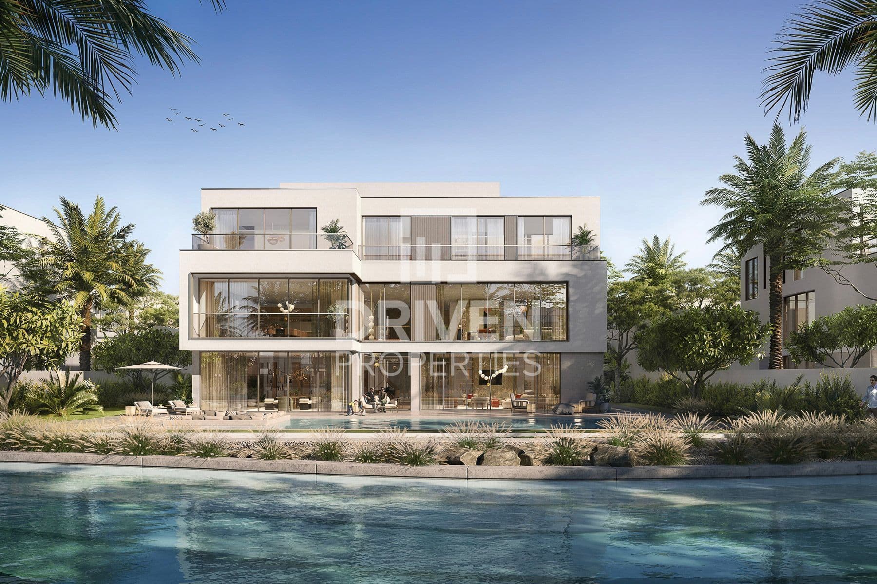 The Oasis Mirage