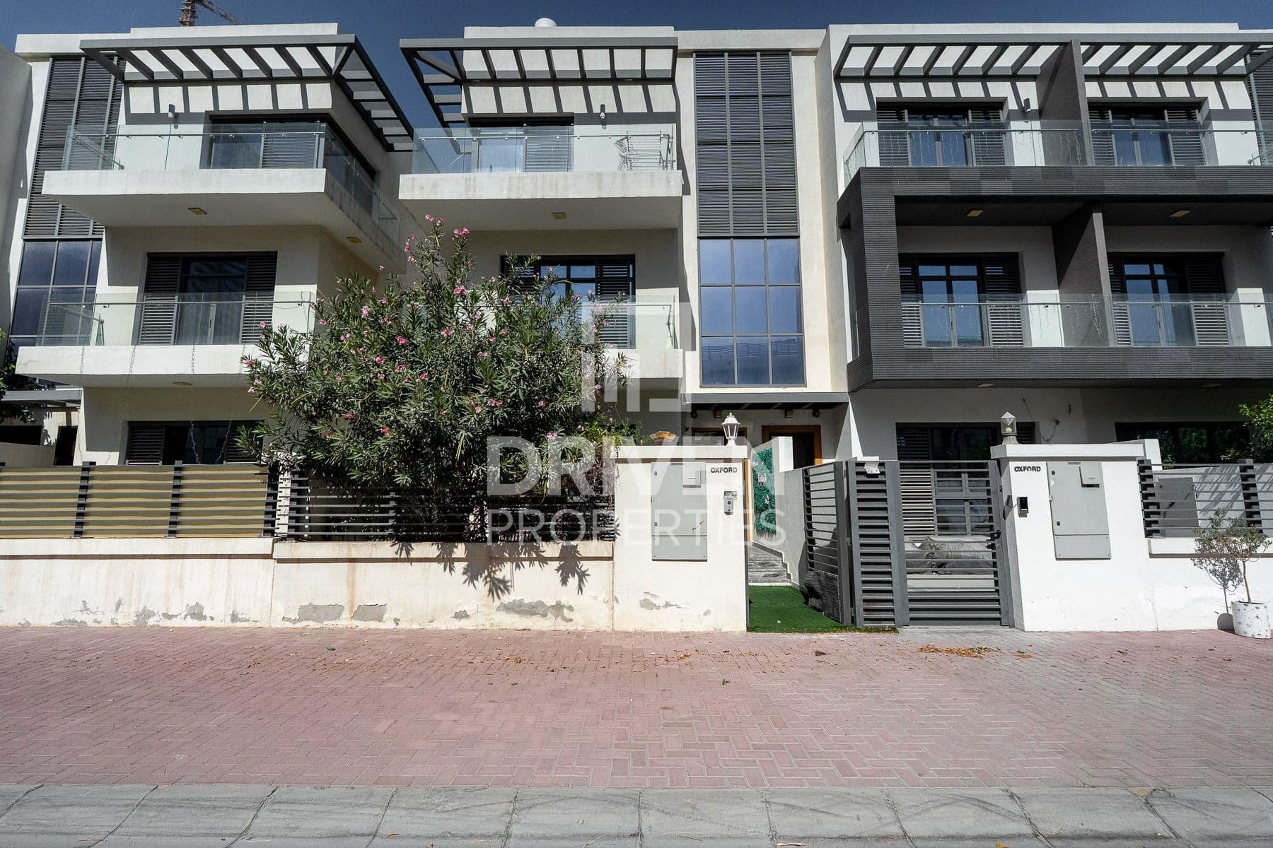 Yellow Townhouses